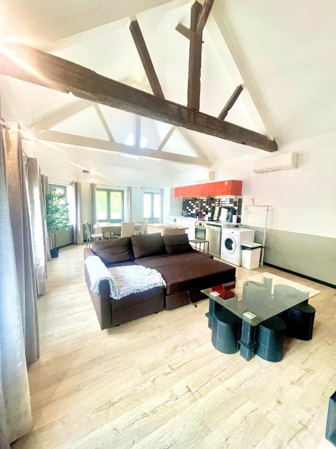 Appartements De Charme Dadou Mons Belgium Buitenkant foto